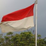 Kemenangan Gemilang Indonesia di Asian Games, Sayangnya Beberapa Cabor Mengalami Kendala