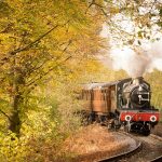 Fenomena Wisata Kereta: Lonjakan Penumpang Panoramic di Jawa dan Upaya Menghidupkan Kembali Jalur Bersejarah di Portland